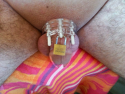 nicolettosworld:  show-us-your-locked-cock:  User submitted photo.