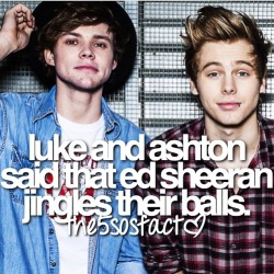 the5sosfactx:  Yes arnt we all gay for sheeran?