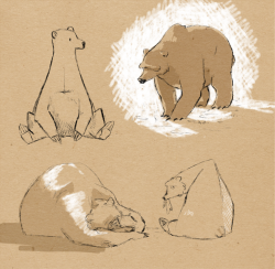 sha-sha-shroom:  bears bears bears and lazy sketches 