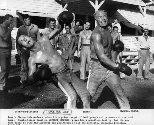 Cool Hand Luke - Paul Newman & George Kennedy Nudes &