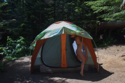 openbooks:  “Happy Camper”Cacia Zoo at Lost Lake, OR. June 2015  .