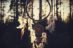 reaver-mortum:  adventurous, autumn, dark, dream catcher, dreams,