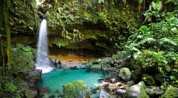 aztec-jungle:  active tropical blog! 