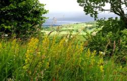 pagewoman:  Teesdale, Pennine Way, Englandby Phil Gates