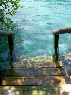 mysticplaces:  Steps to the Sea | Rivera Maya, Mexico submission