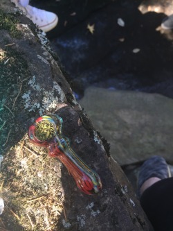 tokes-and-smokes:  Went hiking with some friends and smoked a