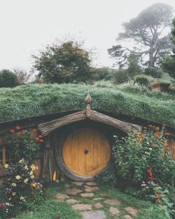 vintagepales2:  A quiet morning in Hobbiton,  The Shire    