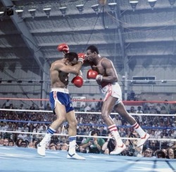 bestofboxing:  Larry Holmes vs Ken Norton, 1978