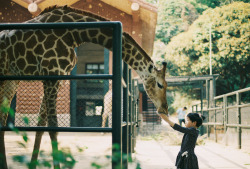 novemberschopin:  (by drifting_eggs) 