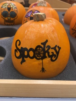 alexxandracas:  spoopy