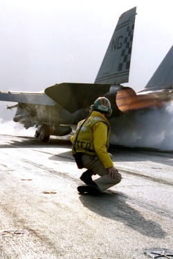 titanium-rain:F-14 Tomcat