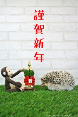 hedgehogcalendar:  (【ハリネズミカレンダー】January