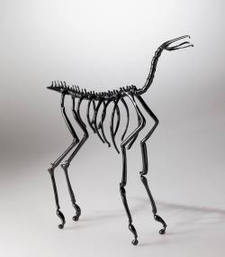 cmog:  Object of the WeekAn interest in natural history is reflected