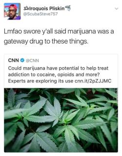 lagonegirl:This has been known since weed was discovered. The