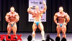 Flex Lewis