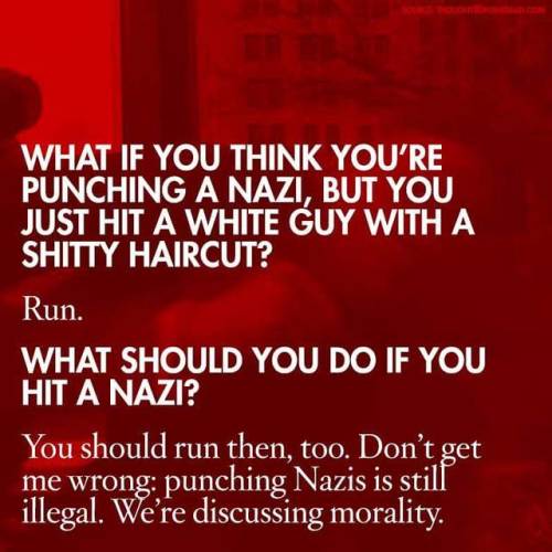 zvaigzdelasas: http://thoughtsonthedead.com/on-the-propriety-of-punching-nazis-an-faq/