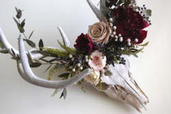 bramblehart: Preserved Deer Skull with Flowers by Maison De La