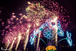 insomniacevents:  Electric Daisies Under the Electric Sky. ✨