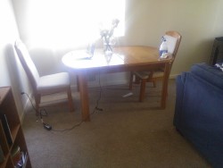 I get excited over dumb stuff like a new table :D New for us