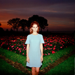 born to adore Lana Del Rey