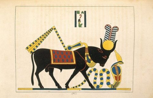 grandegyptianmuseum:    The Apis bull, illustration from ‘Pantheon egyptien: collection des personnages mythologiques de l'Ancienne Egypte’ by Jean-Francois Champollion, published 1823-25 (colour litho). Brooklyn Museum of Art, New York, USA  Young