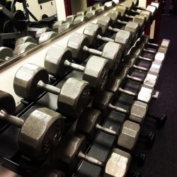 fitpositively:  I love the weights! Can’t lift these yet. Still