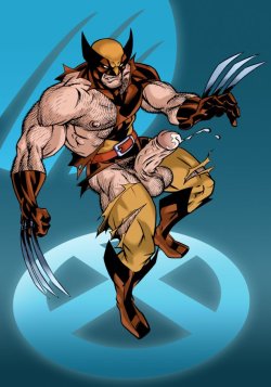 beefcraft-cub:  ultimatebara:  Wolverine [X-Men]   premium anti-spamming