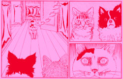 foie:  Cat Diary