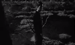 areyou-stillawake:  Psycho (1960)  