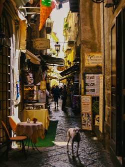 mostlyitaly:   	Street in Sorrento (Campania, Italy) by Martin