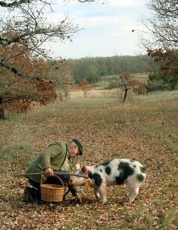 That spells truffle.