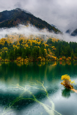 bluepueblo:   Misty Lake, Juizhaigou, China photo via victoria