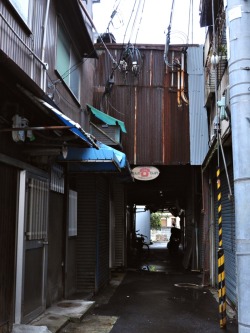 楽園