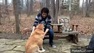 inyoursocks:  everyone should love dogs as much as Markiplier does