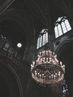 ghoulshavemorefun:  Votivkirche, Vienna. 