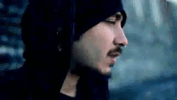 patinaydestruyectm:  Cevlade, pa la care gato c: