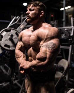 Flex Lewis