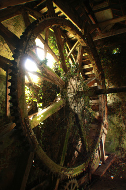 destroyed-and-abandoned:  Disused watermill overgrown by weeds