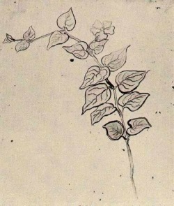 artist-vangogh:  Branch with Leaves, 1890, Vincent van GoghMedium: