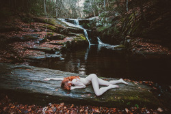 corwinprescott:    “Into the Wild”Connecticut 2015Corwin