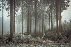 mystic-revelations:  Photography By Florian Mueller