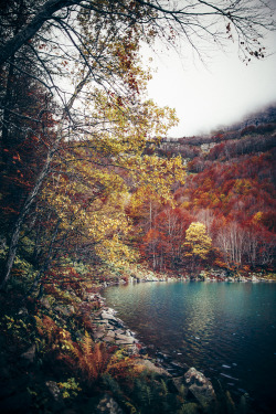 elenamorelli:  { there’s no such thing as a grey autumn day