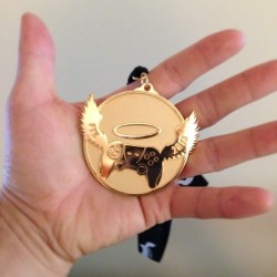Just got this AMAZING medal for our Extra Life Charity drive!