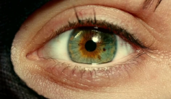 I Origins (2014) dir. Mike Cahill    ‘’You live in this