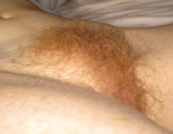Just pubes!