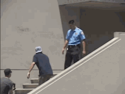 funny-gifs-videos:  Life insurance For Laugh Gifshttp://funny-gifs-videos.tumblr.com/tagged/insurance