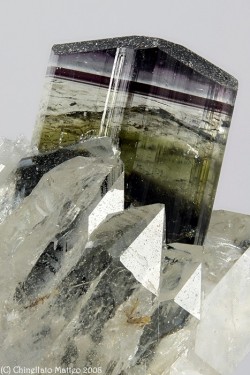 mineralia:  Elbaite from Italyby Chinellato Matteo