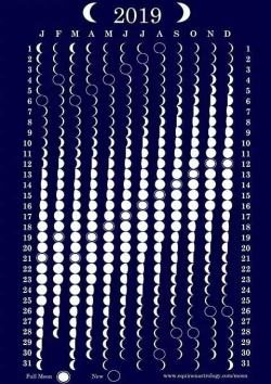   Calendario 2019 con las fases de la Luna.  