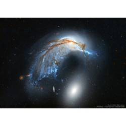 The Porpoise Galaxy from Hubble #nasa #apod #esa #hla #hubble