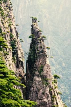 woodendreams:  (by shoepins) 